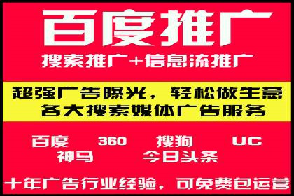 谷歌SEM案例研究：数据分析与效果评估